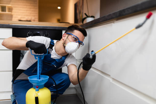 Best Ant Control Services  in Gila Bend, AZ