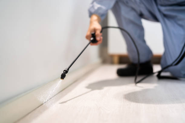 Flea Control Services in Gila Bend, AZ