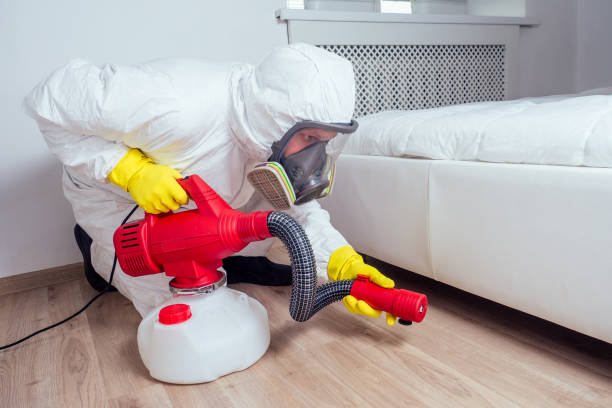 Best Local Pest Control Services  in Gila Bend, AZ