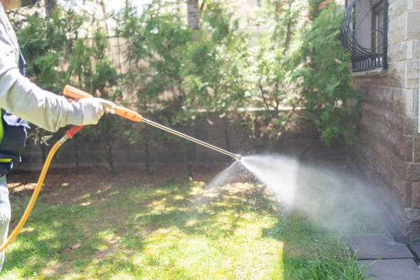 Best Emergency Pest Control  in Gila Bend, AZ