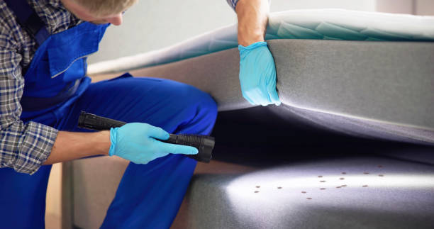Best Pest Inspection Near Me  in Gila Bend, AZ