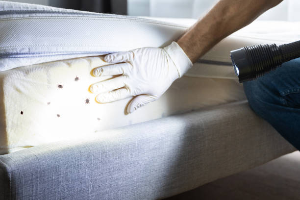 Best Exterminator Services  in Gila Bend, AZ