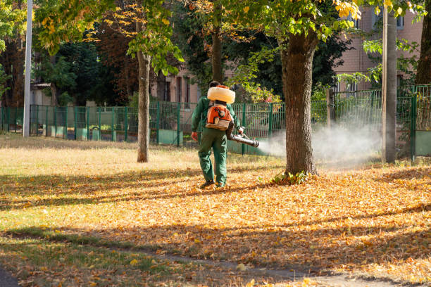 Best Commercial Pest Control Services  in Gila Bend, AZ