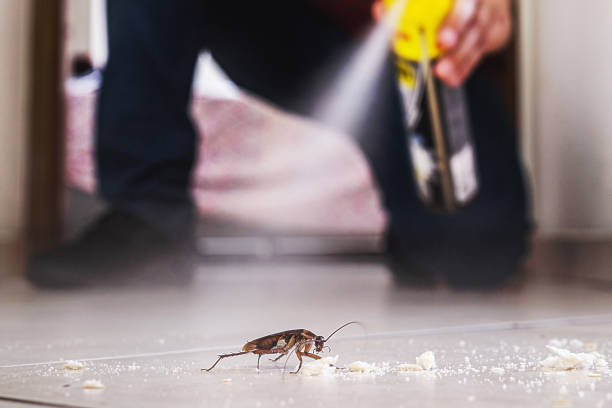 Best Pest Prevention Services  in Gila Bend, AZ