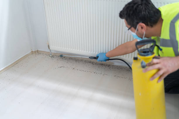 Best Pest Prevention Services  in Gila Bend, AZ