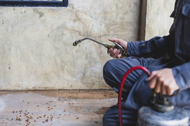Best Rat Extermination Near Me  in Gila Bend, AZ